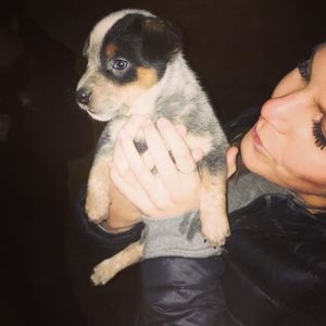 Meet your Posher, Andréane